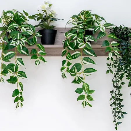 Appartement Kosmos Sercvice Beautiful 2 *