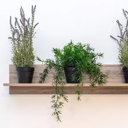 Appartement Kosmos Sercvice Beautiful 2